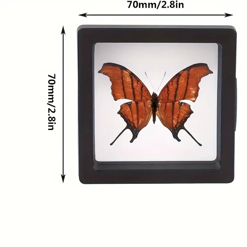 20Pcs Clearview 3D Floating Di - Display Case Acrylic 评论和价格